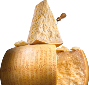 1234436_388103324645936_1150794108_n