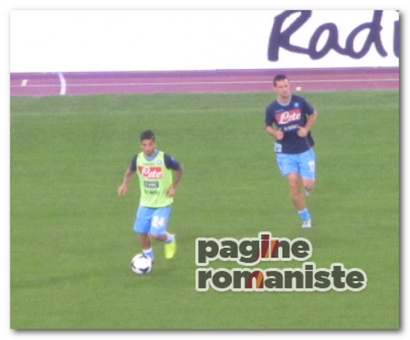 Insigne