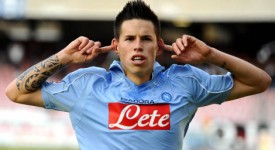 hamsik 