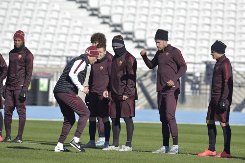 strootman-lippie