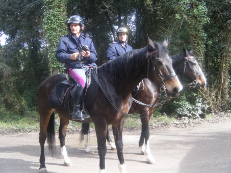 polizia a cavallo
