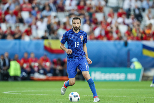 milan badelj