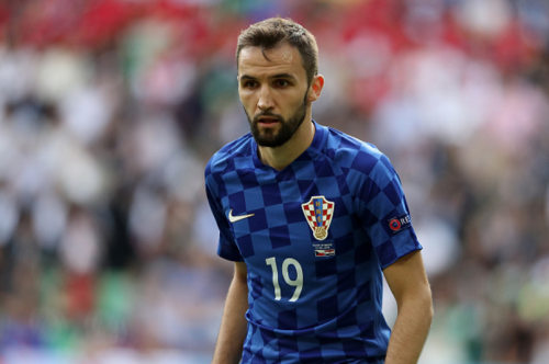 milan badelj