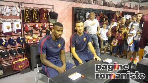 torosidis rudiger