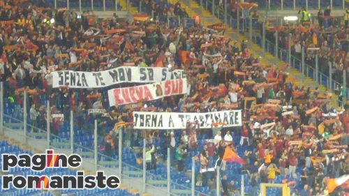 14795782_1194602690594355_262015275_o