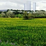 skyline-da-Parco-de-medici-604×357