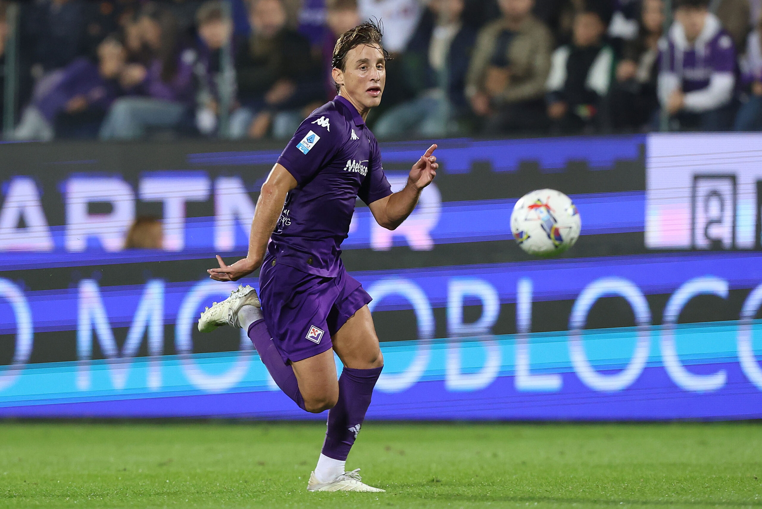 Bove, impiantato un defibrillatore. Due mesi per conoscere il futuro